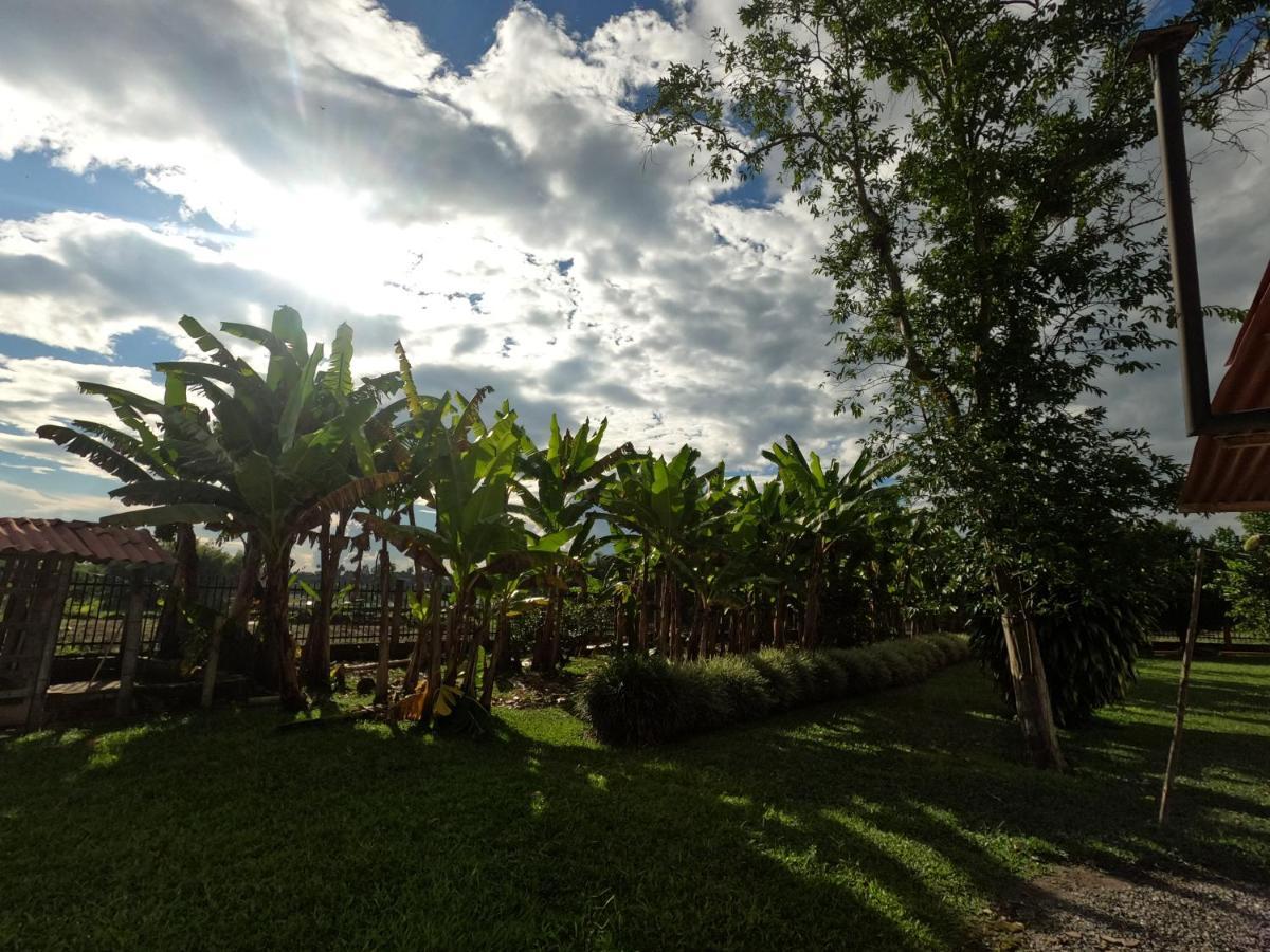Finca Hotel Estrella Del Eden El Socorro Extérieur photo